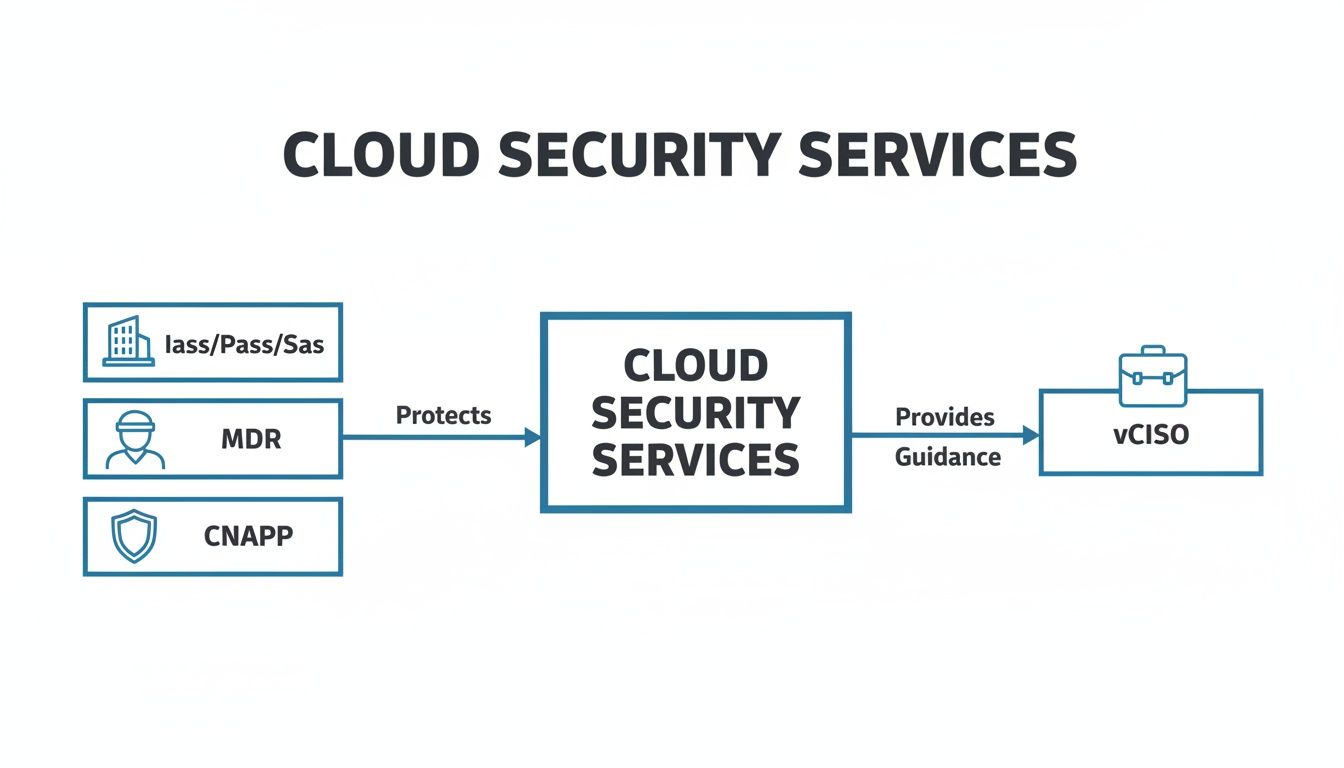 Diagram showing cloud security services protecting IaaS, PaaS, SaaS, MDR, CNAPP, and providing vCISO guidance.